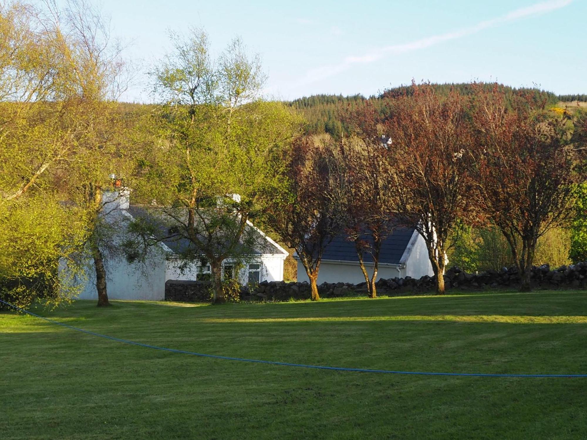 The Cottage @ Burkedale House Corofin  Exteriör bild