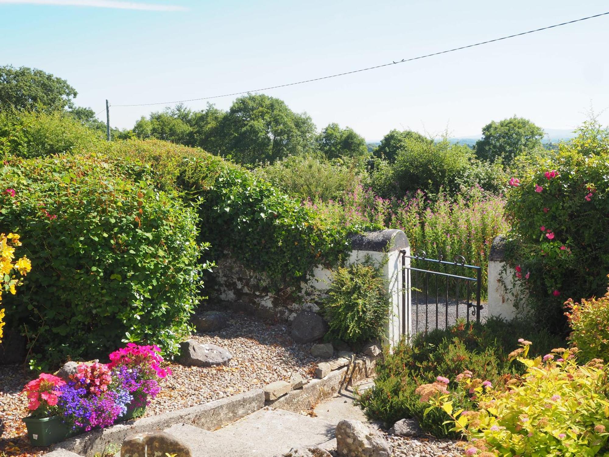 The Cottage @ Burkedale House Corofin  Exteriör bild