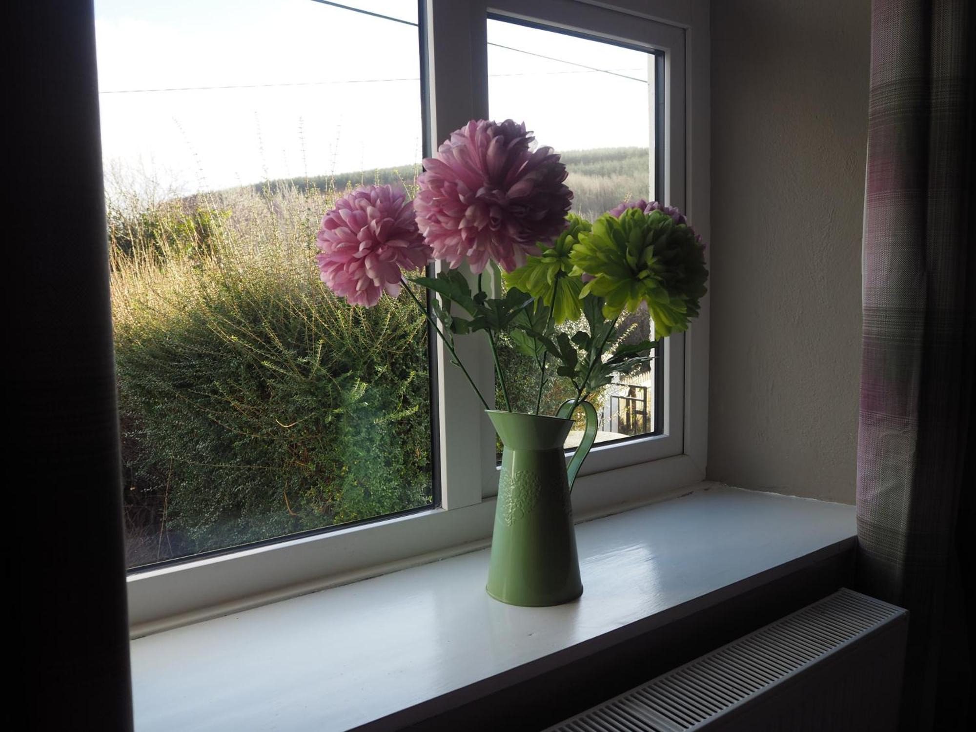 The Cottage @ Burkedale House Corofin  Exteriör bild
