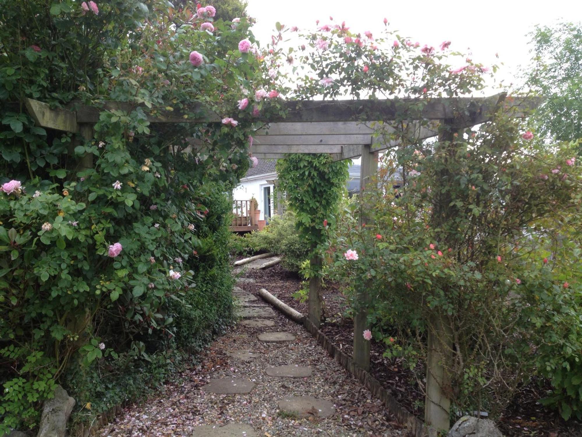 The Cottage @ Burkedale House Corofin  Exteriör bild