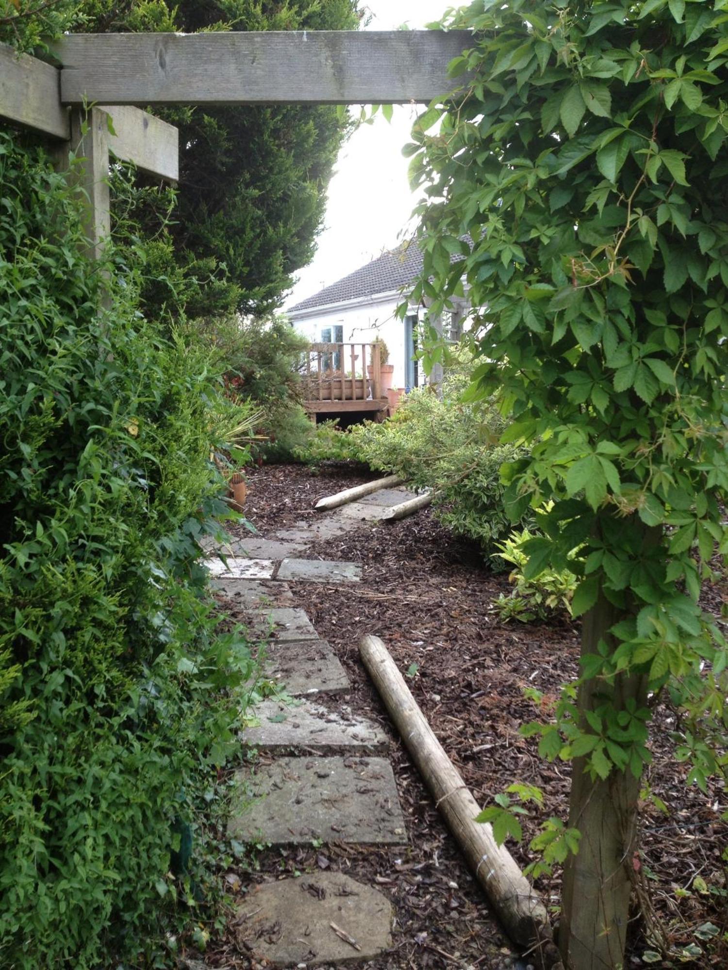 The Cottage @ Burkedale House Corofin  Exteriör bild